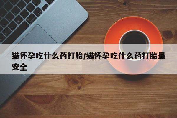 米非司酮片多少钱一盒猫怀孕吃什么药打胎/猫怀孕吃什么药打胎最安全