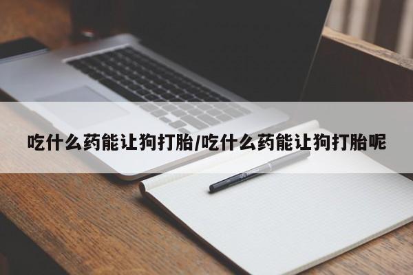 米非司酮片多少钱一盒吃什么药能让狗打胎/吃什么药能让狗打胎呢