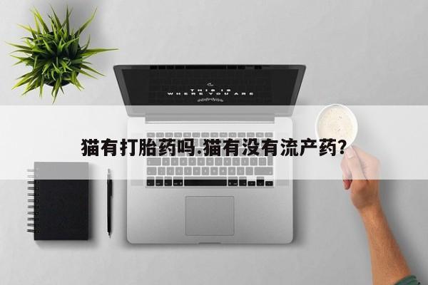 米非司酮片多少钱一盒猫有打胎药吗.猫有没有流产药？