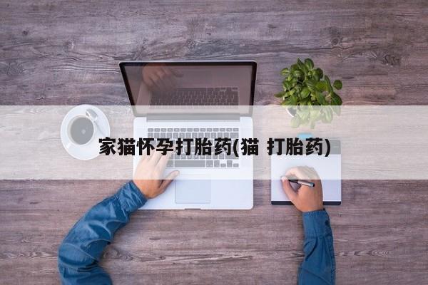 米非司酮片多少钱一盒家猫怀孕打胎药(猫 打胎药)
